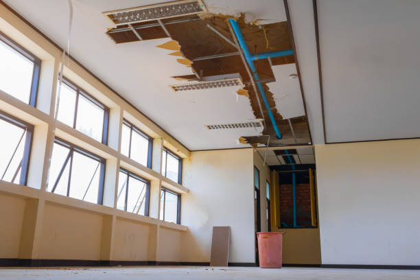Best Sewage cleanup and water damage restoration  in Rector, AR