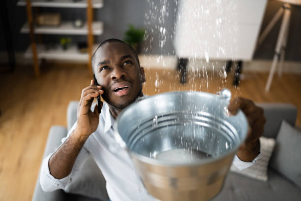 Best Professional water damage repair  in Rector, AR