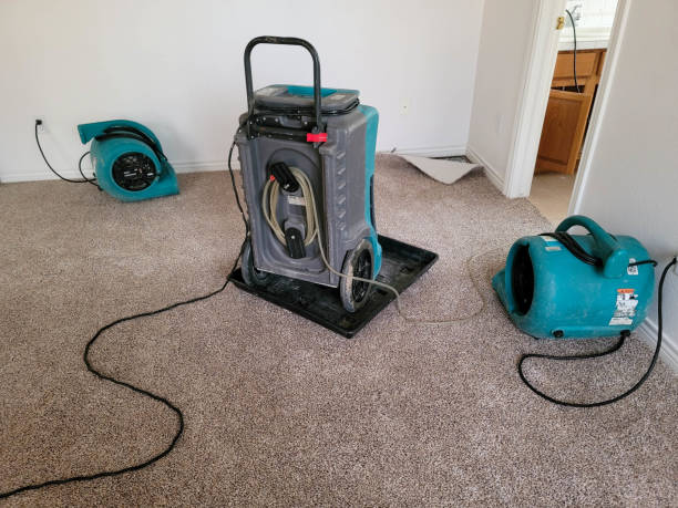 Best Residential water damage restoration  in Rector, AR
