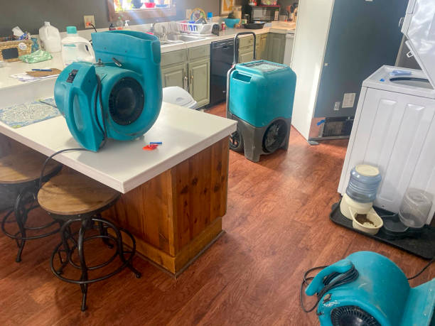  Rector, AR Water damage restoration Pros