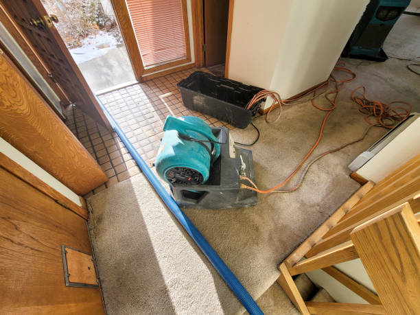 Best Flood damage cleanup  in Rector, AR