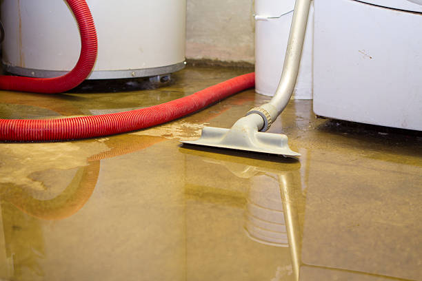 Best Sewage cleanup and water damage restoration  in Rector, AR
