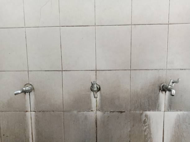 Best Water damage cleanup near me  in Rector, AR