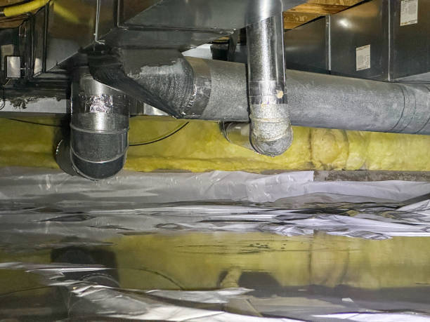 Best Ceiling water damage repair  in Rector, AR