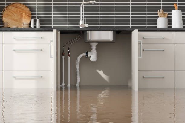 Best Emergency water damage restoration  in Rector, AR
