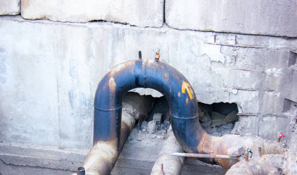 Best Fire Damage Restoration  in Rector, AR